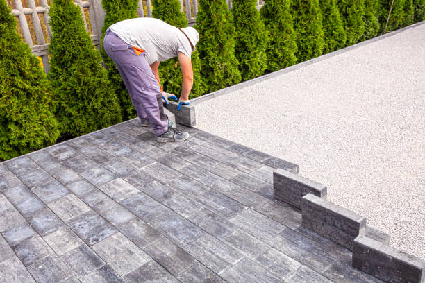 Best Commercial Driveway Pavers  in Live Oak, TX