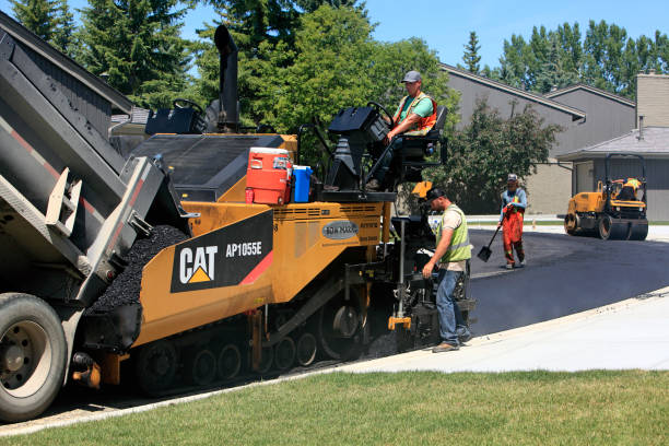 Best Professional Driveway Pavers  in Live Oak, TX